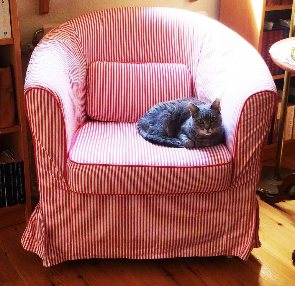 Katten Ines