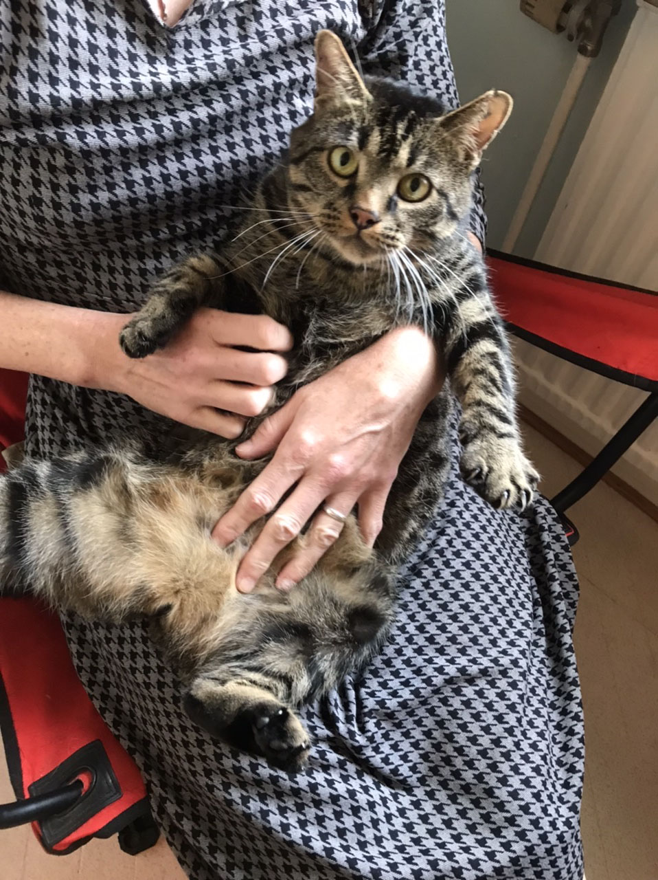 Katten Sixten